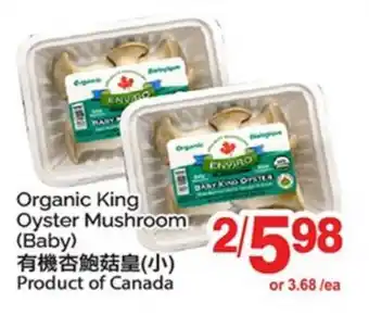 T&T Supermarket ORGANIC KING OYSTER MUSHROOM offer