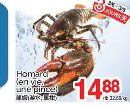 T&T Supermarket HOMARD (EN VIE UNE PINCE) offer