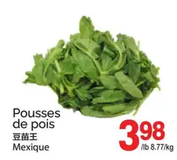 T&T Supermarket POUSSES DE POIS offer