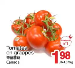 T&T Supermarket TOMATES EN GRAPPES offer