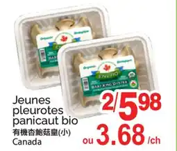 T&T Supermarket JEUNES PLEUROTES PANICAUT BIO offer