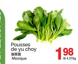 T&T Supermarket POUSSES DE YU CHOY offer