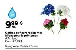Michaels Gerbes de fleurs résistantes à l'eau pour le printemps d'Ashland offer