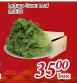 Tone Tai Supermarket Lettuce Green Leaf offer