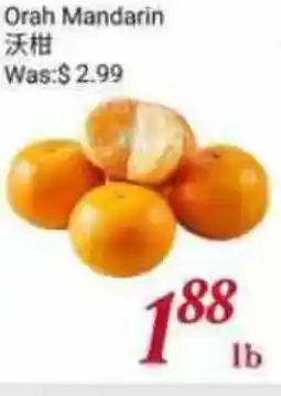 Tone Tai Supermarket Orah Mandarin offer