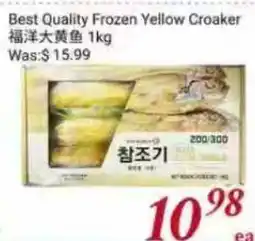 Tone Tai Supermarket Best Quality Frozen Yellow Croaker offer