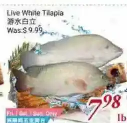 Tone Tai Supermarket Live White Tilapia offer