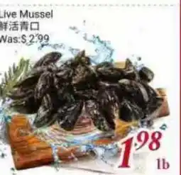Tone Tai Supermarket Live Mussel offer