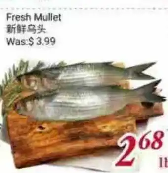 Tone Tai Supermarket Fresh Mullet offer