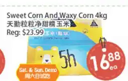 Fresh Palace Supermarket Sweet Corn And Waxy Corn offer