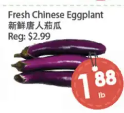Fresh Palace Supermarket Fresh Chinese Eggplant offer