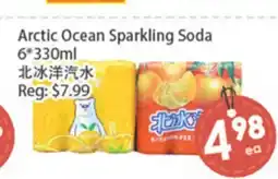 Fresh Palace Supermarket Arctic Ocean Sparkling Soda offer