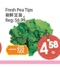 Fresh Palace Supermarket Fresh Pea Tips offer