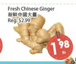 Fresh Palace Supermarket Fresh Chinese Ginger offer