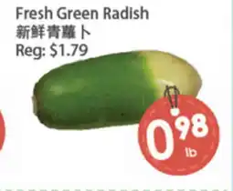 Fresh Palace Supermarket Fresh Green Radish offer