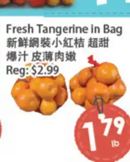 Fresh Palace Supermarket Fresh Tangerine in Bag offer