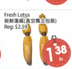 Fresh Palace Supermarket Fresh Lotus offer