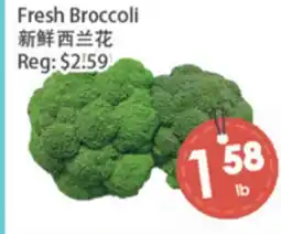 Fresh Palace Supermarket Fresh Broccoli offer