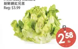 Fresh Palace Supermarket Fresh Baby Mustard offer