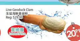 Fresh Palace Supermarket Live Geoduck Clam offer