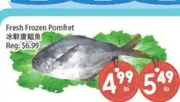 Fresh Palace Supermarket Fresh Frozen Pomfret offer