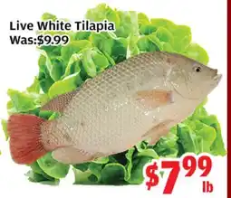 Top Food Supermarket Live White Tilapia offer