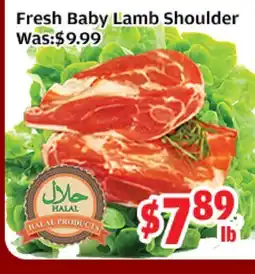 Top Food Supermarket Fresh Baby Lamb Shoulder offer