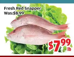 Top Food Supermarket Fresh Red Snapper offer
