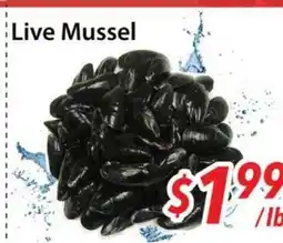 Bestco Food Mart Live Mussel offer