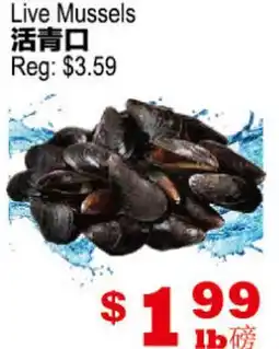 Yuan Ming Supermarket Live Mussels offer