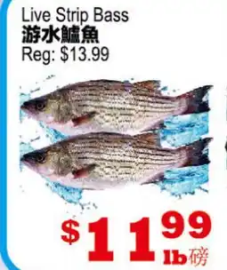 Yuan Ming Supermarket Live Strip Bass offer