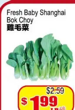 Yuan Ming Supermarket Fresh Baby Shanghai Bok Choy offer