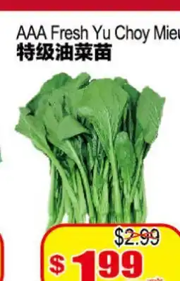 Yuan Ming Supermarket AAA Fresh Yu Choy Mieu offer