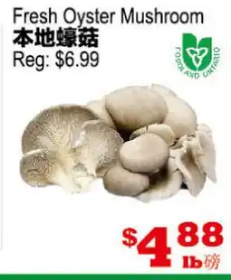 Yuan Ming Supermarket Fresh Oyster Mushroom offer