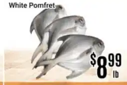 Nations Fresh Foods White Pomfret offer
