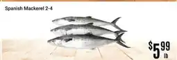Nations Fresh Foods Spanish Mackerel 2-4 offer
