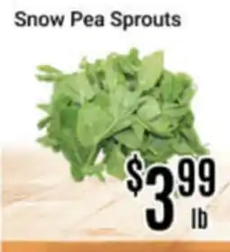 Nations Fresh Foods Snow Pea Sprouts offer