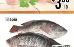 Nations Fresh Foods Tilapia offer