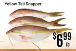 Nations Fresh Foods Yellow Tail Snapper offer