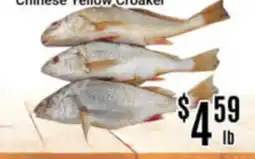 Nations Fresh Foods Chinese Yellow Croaker offer