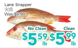 Ample Food Market Lane Snapper offer