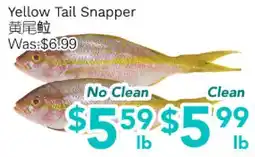 Ample Food Market Yellow Tail Snapper offer