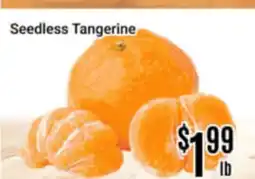 Nations Fresh Foods Seedless Tangerine offer