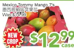 Ample Food Market Mexico Tommy Mango 7's offer