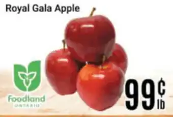 Nations Fresh Foods Royal Gala Apple offer