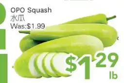 Ample Food Market OPO Squash offer