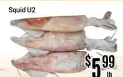 Nations Fresh Foods Squid U2 offer