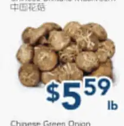 Oceans Fresh Food Market Chinese Granulated Mushroom offer