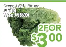 Ample Food Market Green Leaf Lettuce offer