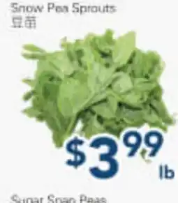 Oceans Fresh Food Market Snow Pea Sprouts offer